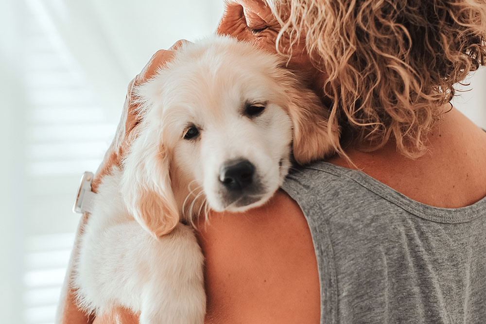 The puppy is nestled against the person's shoulder, facing the camera, and appears relaxed or sleepy.